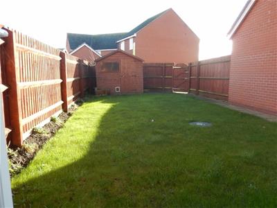 Picture 10